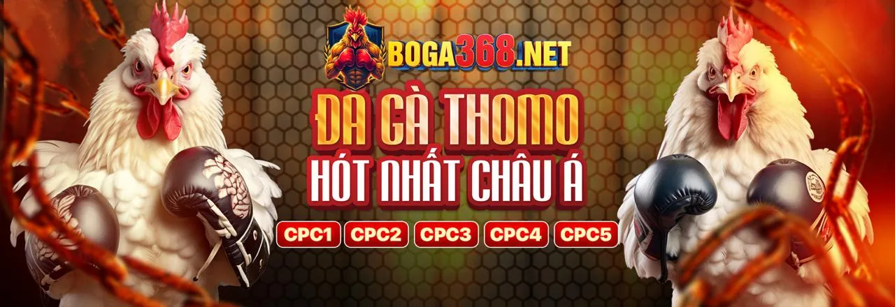 Hình ảnh tổng quan về nền tảng giải trí trực tuyến 9win đăng nhập