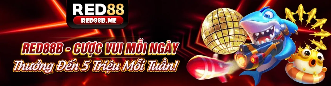 Công bằng và minh bạch